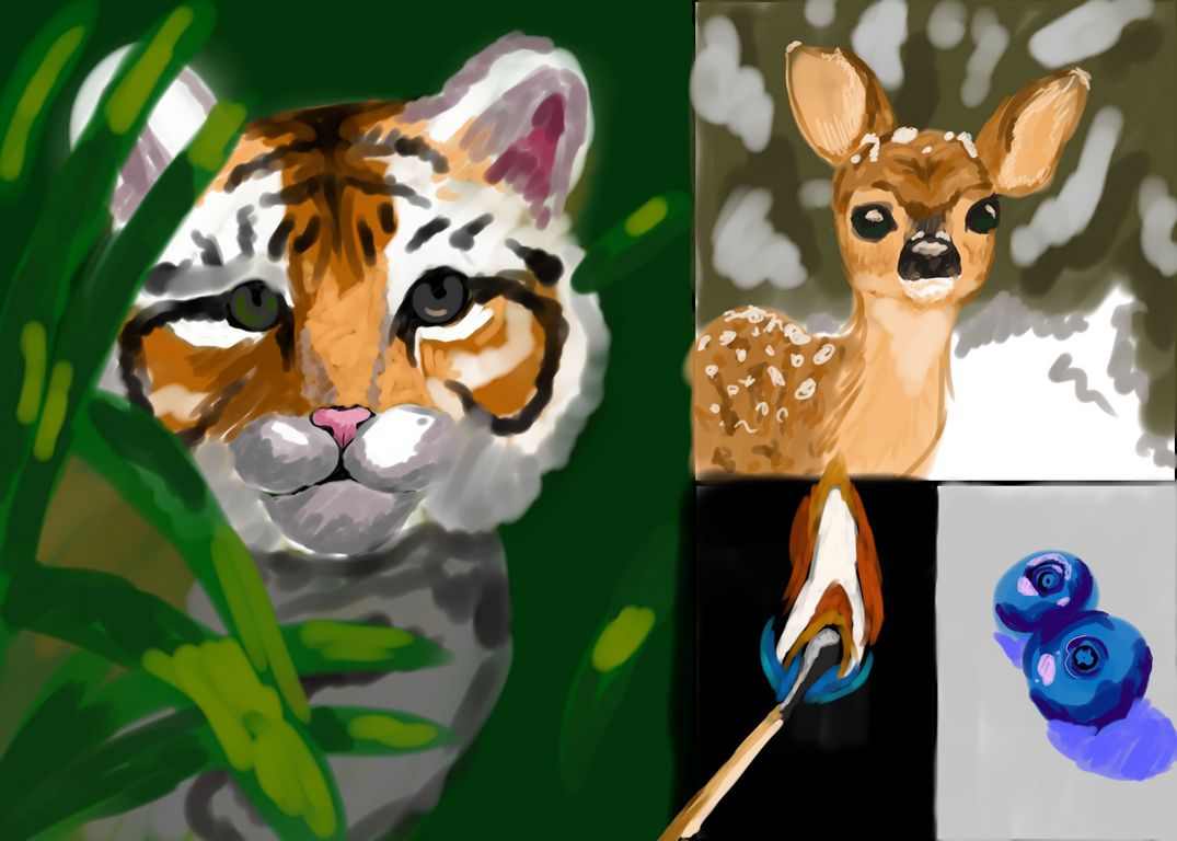 animals.jpg